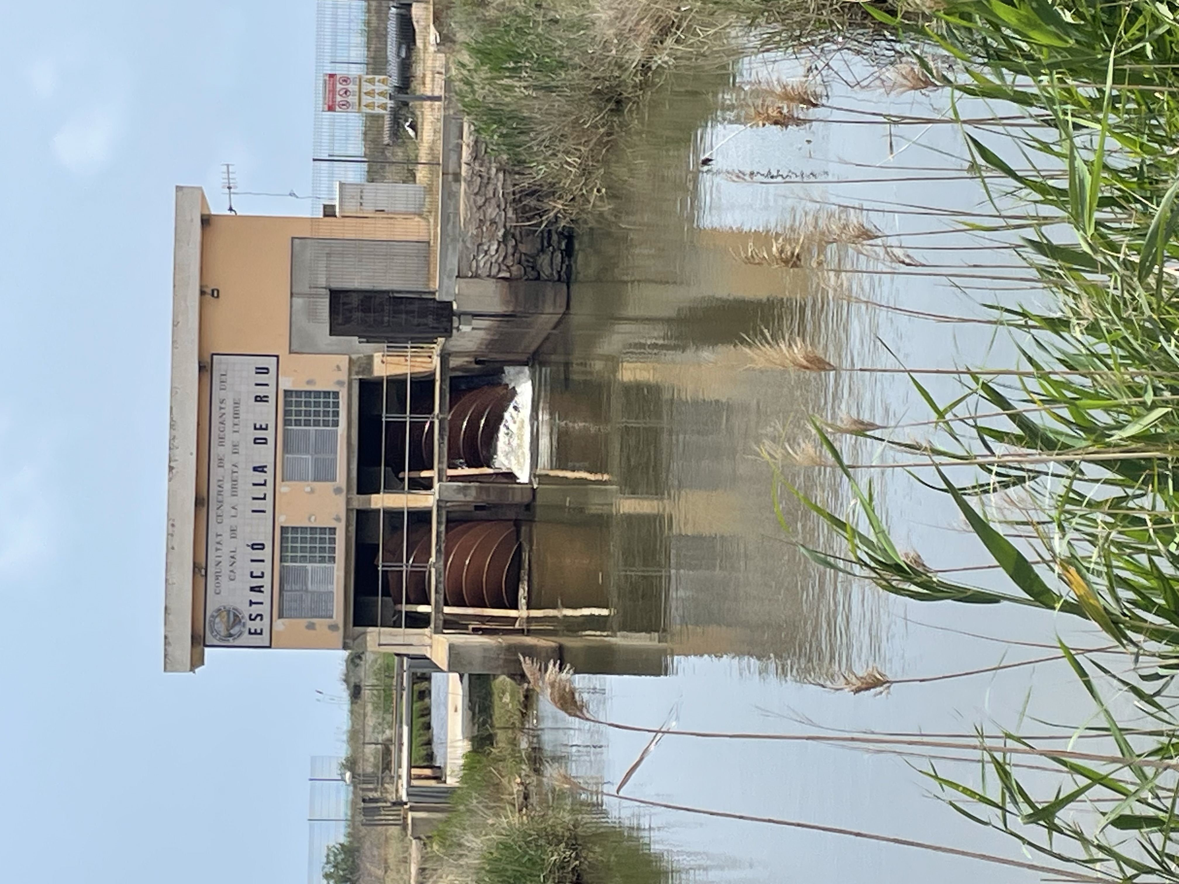 SALIDA AL DELTA DEL EBRO